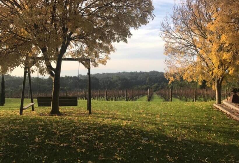 تختخواب و صبحانه Frogs Pond