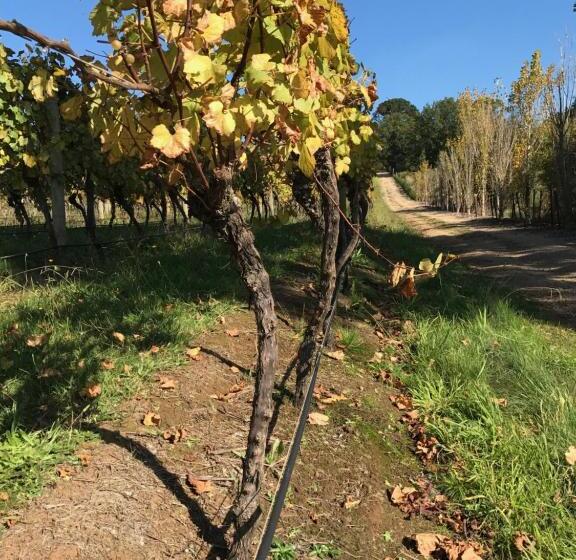 تختخواب و صبحانه Frogs Pond