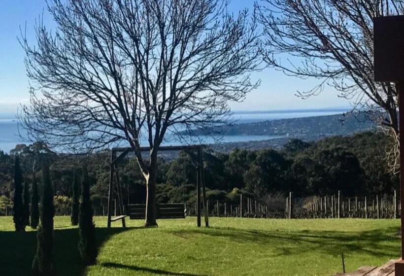 تختخواب و صبحانه Frogs Pond