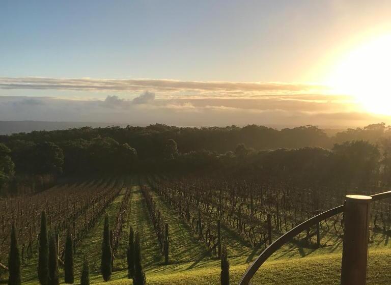 تختخواب و صبحانه Frogs Pond