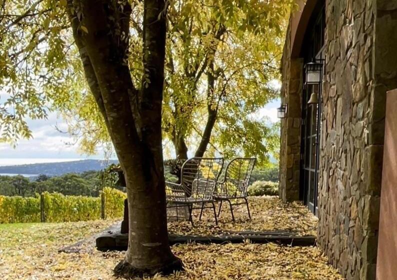 تختخواب و صبحانه Frogs Pond