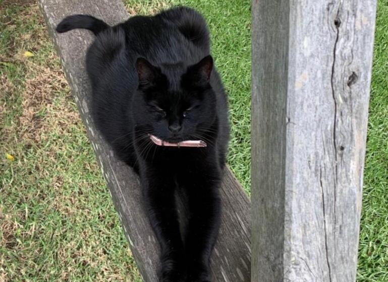 تختخواب و صبحانه Frogs Pond