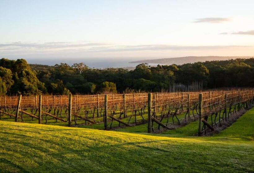 تختخواب و صبحانه Frogs Pond