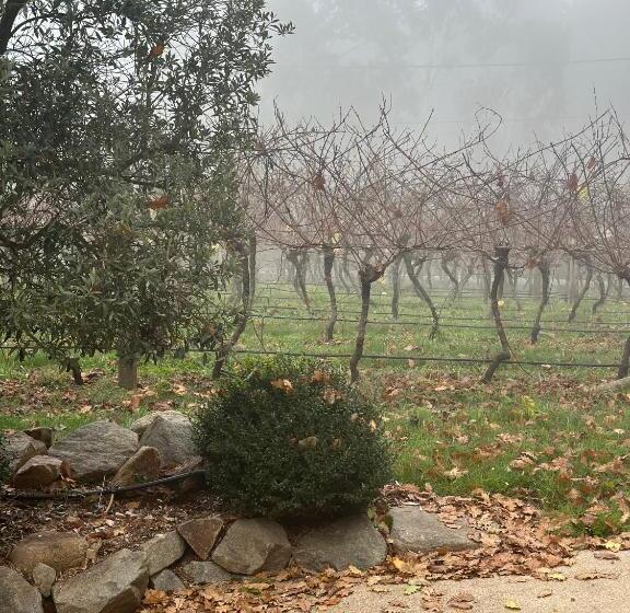 تختخواب و صبحانه Frogs Pond