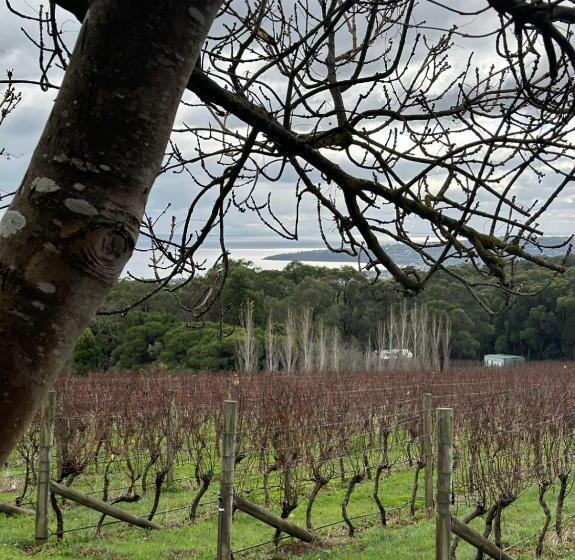 تختخواب و صبحانه Frogs Pond