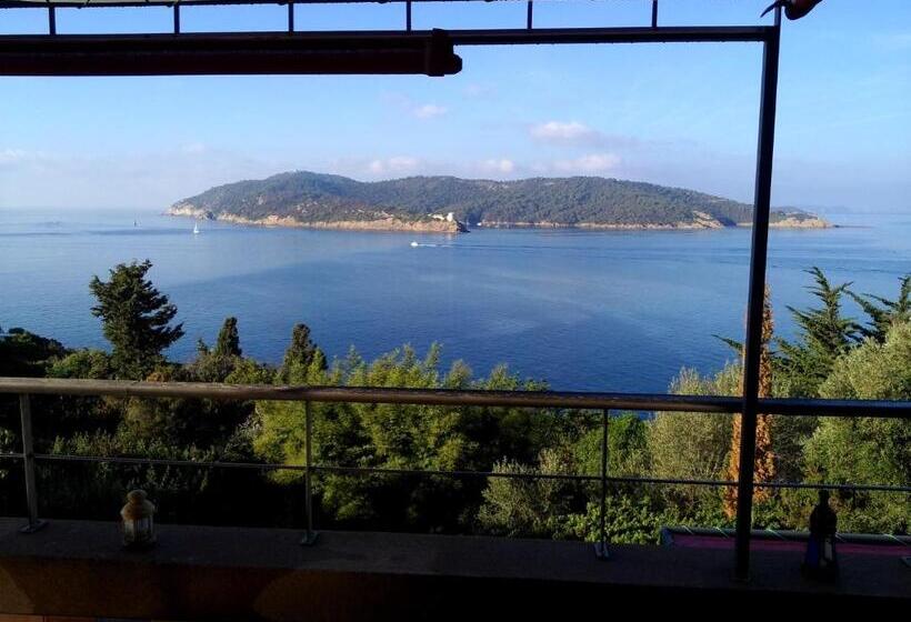 住宿加早餐  Villa Mirabel