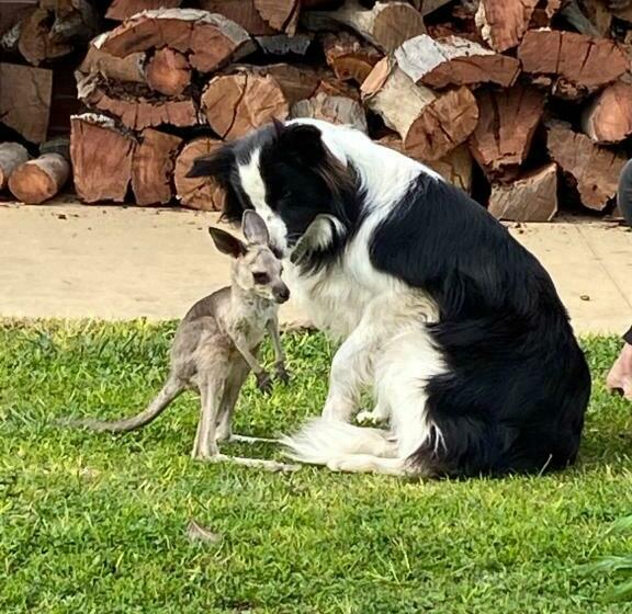 צימר Yeoy S Cabin