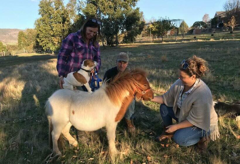 צימר Yeoy S Cabin