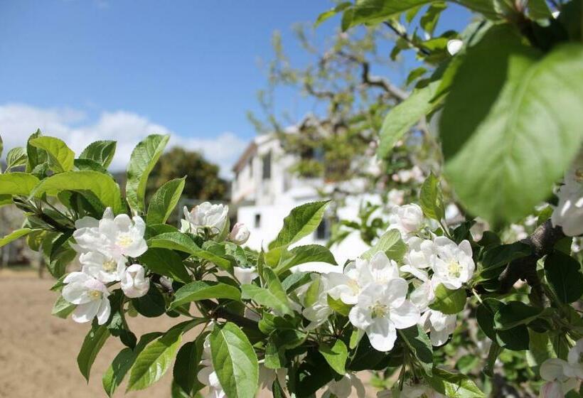 فندق Casa Do Batista