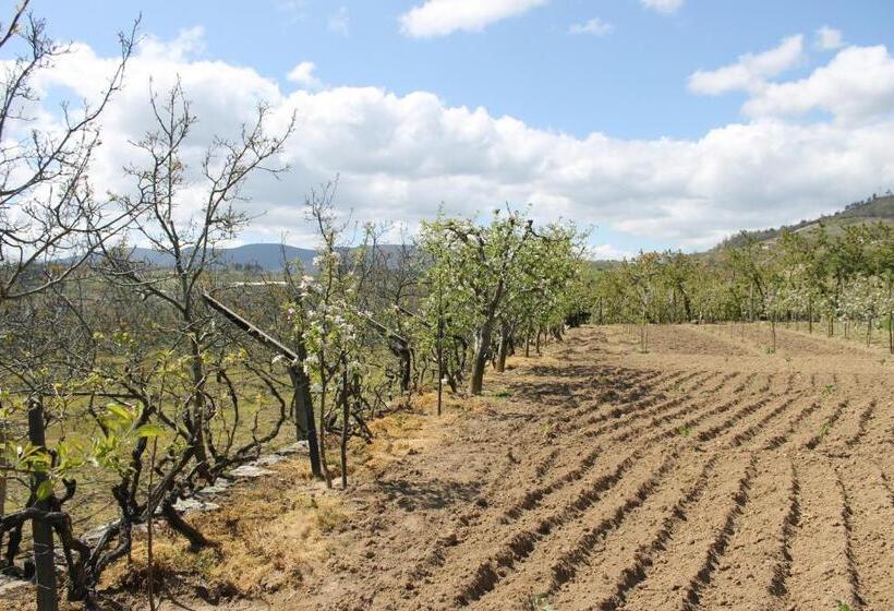 فندق Casa Do Batista