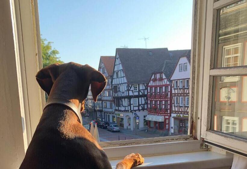 호텔 Haus Oberscholtes