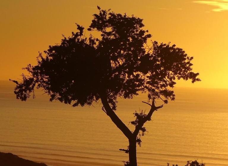 호텔 L Air De La Mer