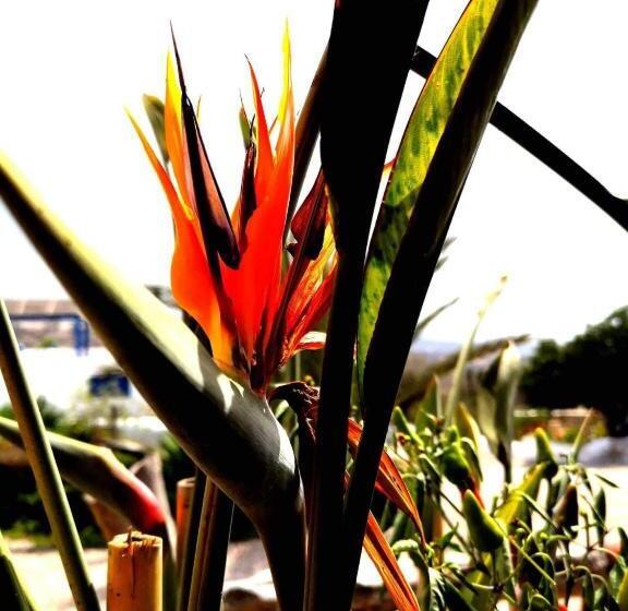 호텔 L Air De La Mer