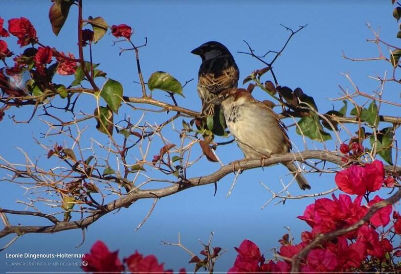 호텔 L Air De La Mer