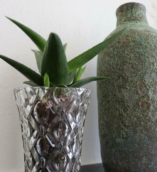 فندق Mañana Mañana