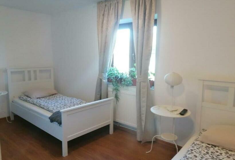 Отель Pensiunea Silva