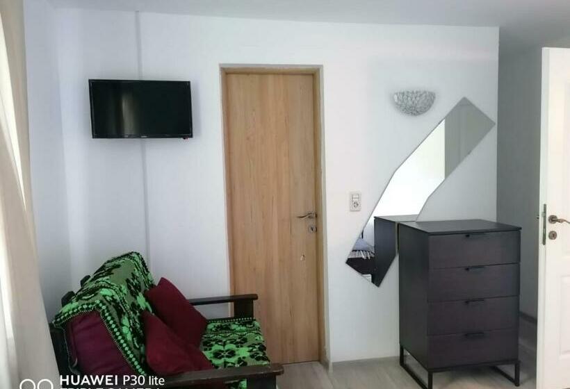 Отель Pensiunea Silva