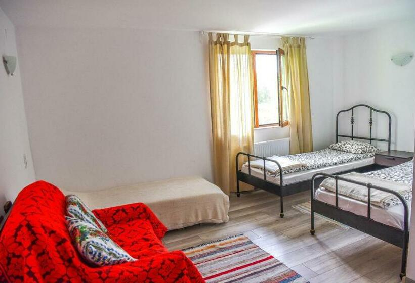 Отель Pensiunea Silva