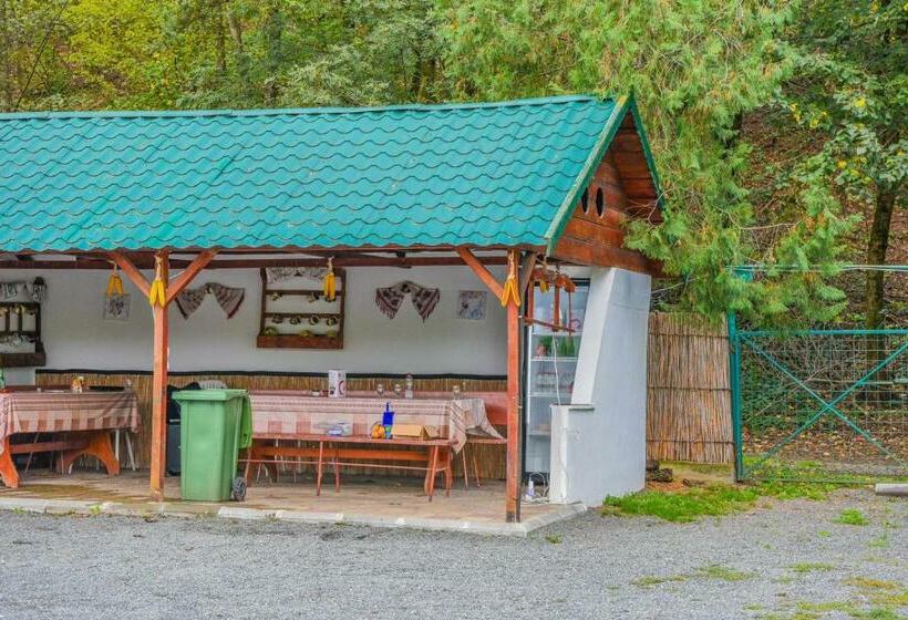 Отель Pensiunea Silva