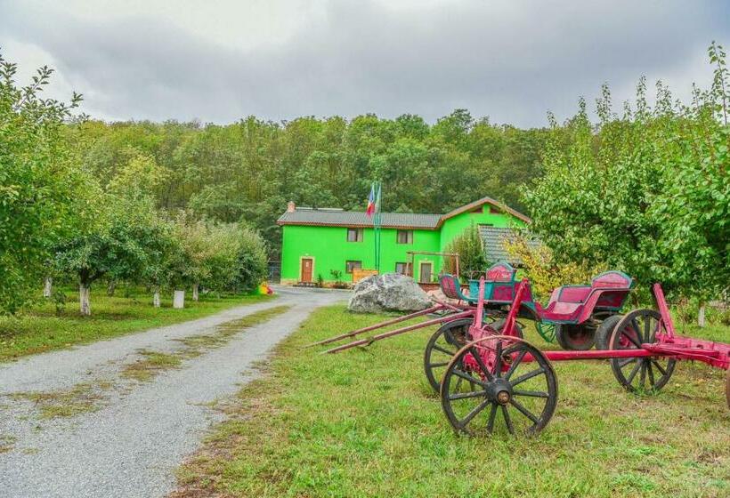 Отель Pensiunea Silva