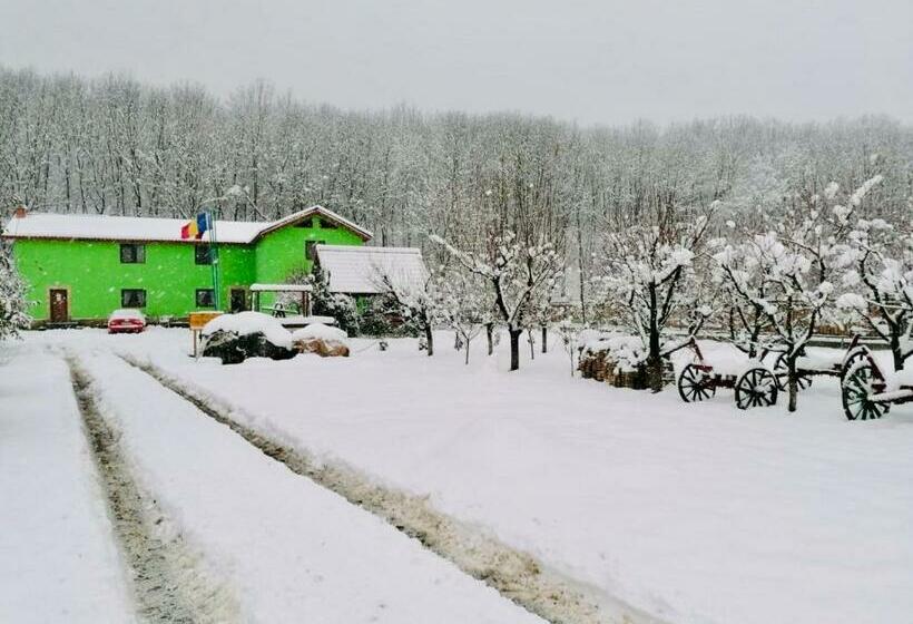 Отель Pensiunea Silva