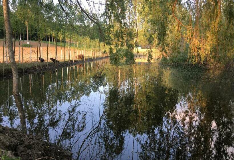 Отель Pensiunea Silva