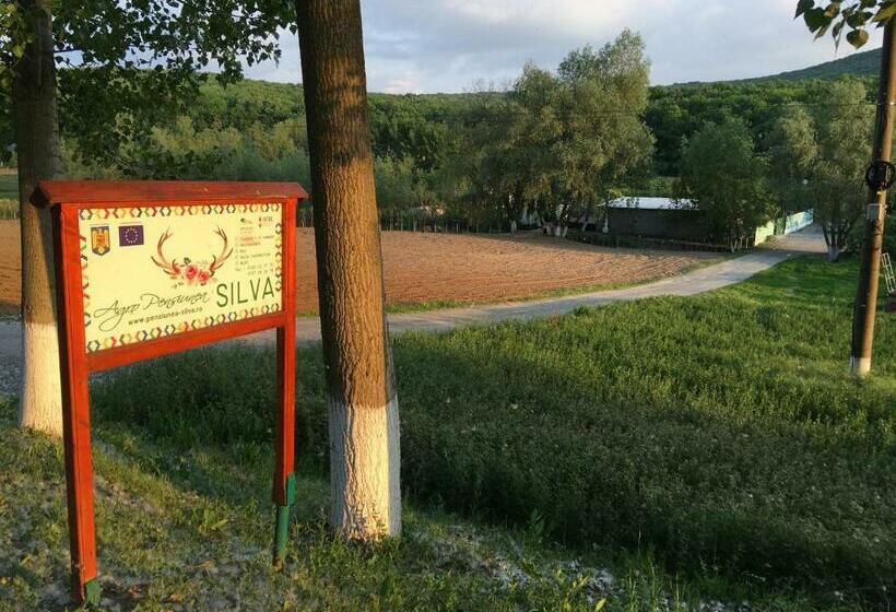 Отель Pensiunea Silva