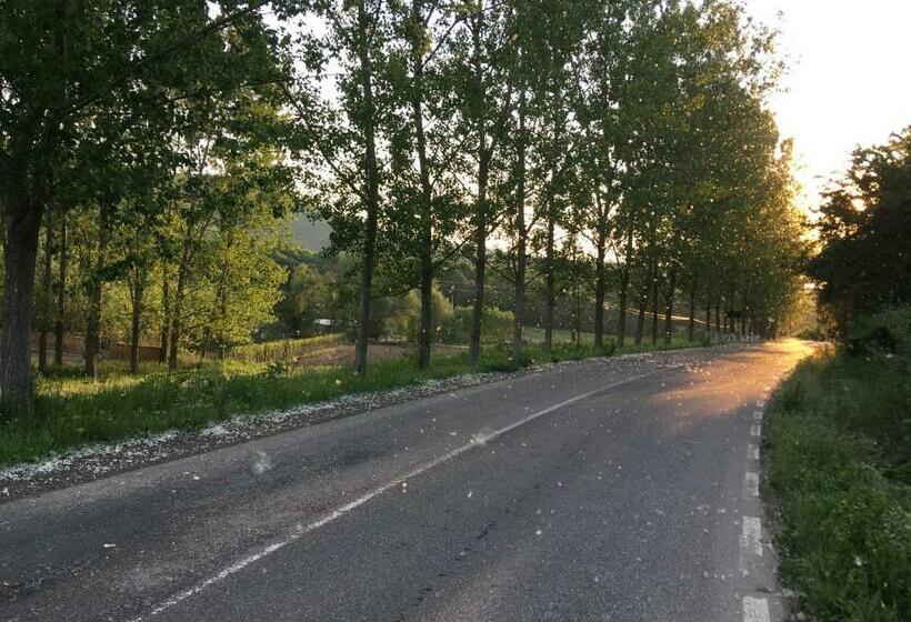 Отель Pensiunea Silva