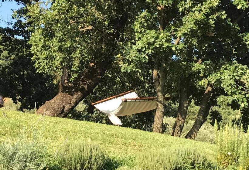 هتل Podere La Fausta