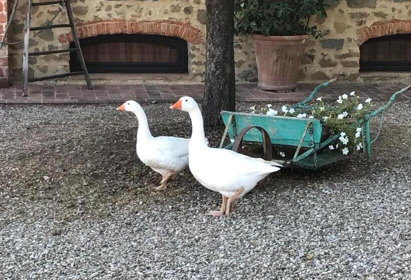 هتل Podere La Fausta