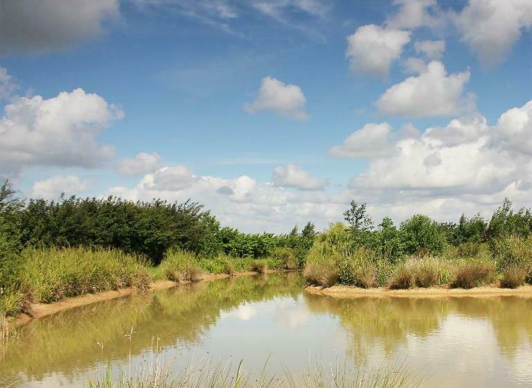 Отель Bramble Cottage At Waingrove Farm