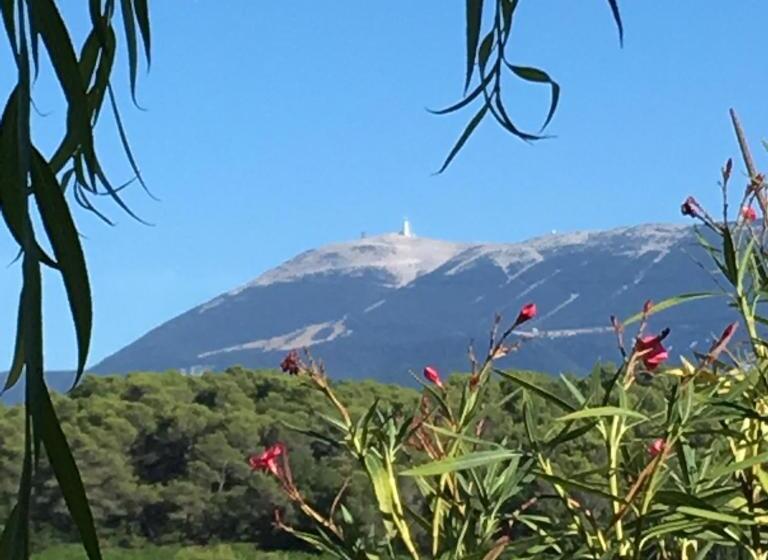 펜션 A L Ombre Du Ventoux
