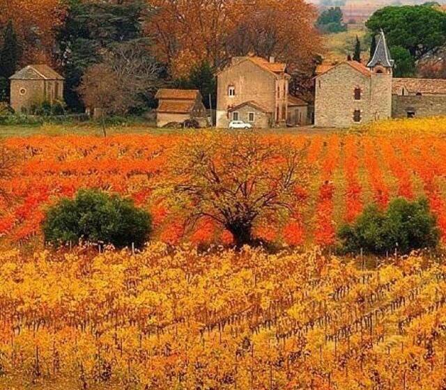 ペンション A L Ombre Du Ventoux