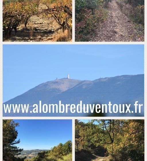 펜션 A L Ombre Du Ventoux