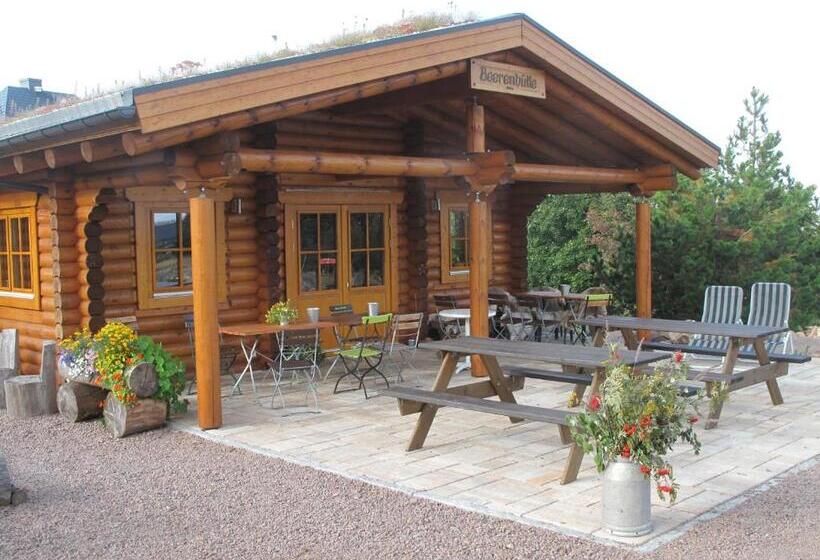 بنسيون Beerenvilla