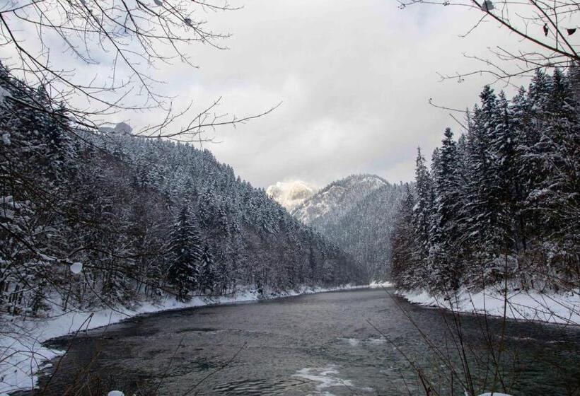 膳宿费 Chalupa Anna