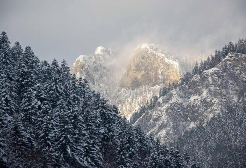 膳宿费 Chalupa Anna