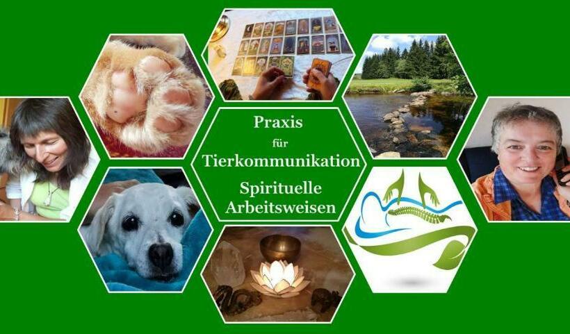 Пансион Haus Sonnenberg