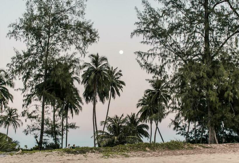 بنسيون Horizon Eco Resort