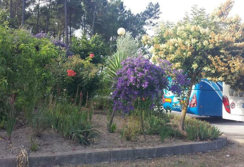 پانسیون Hospedaria D. Fernando