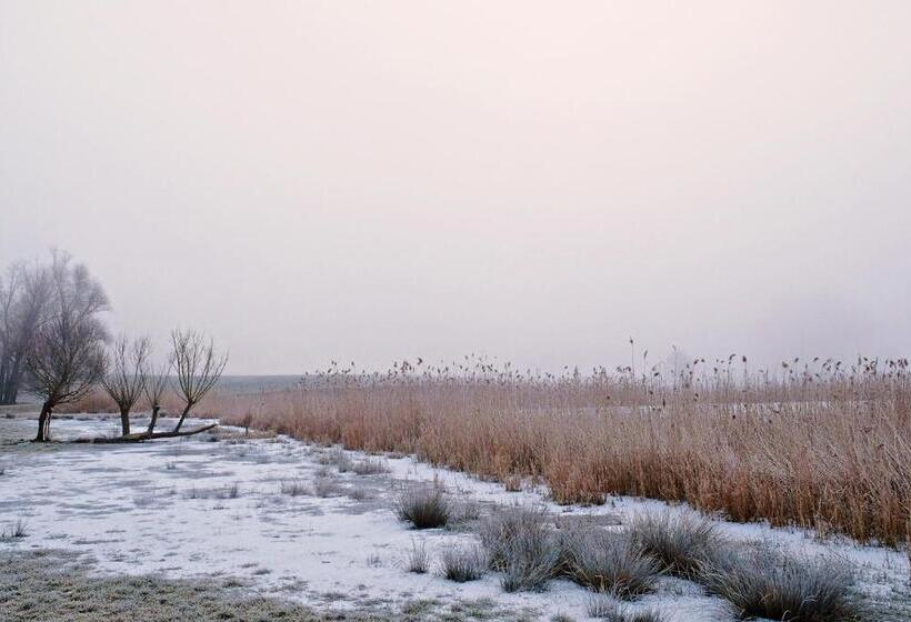 بنسيون Event  Kultur & B&b Kunst Schloss Neuenhagen übernachten Im Denkmal