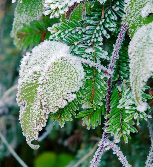بنسيون Event  Kultur & B&b Kunst Schloss Neuenhagen übernachten Im Denkmal