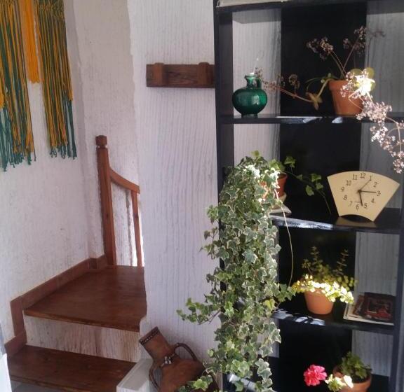 פנסיון Villa Marina