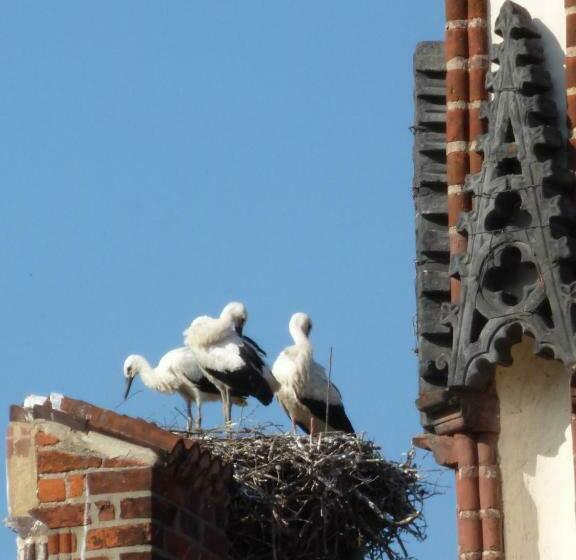 Pension & Ferienwohnung Zum Schmuckgiebel