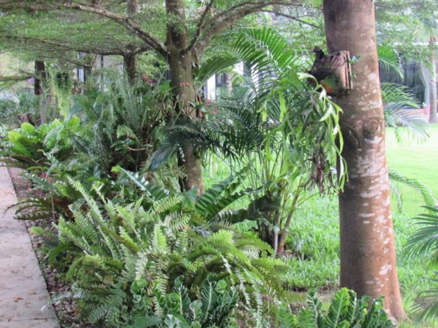 渡假胜地  B&b Forest Hill Khao Yai