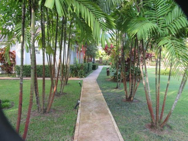 渡假胜地  B&b Forest Hill Khao Yai