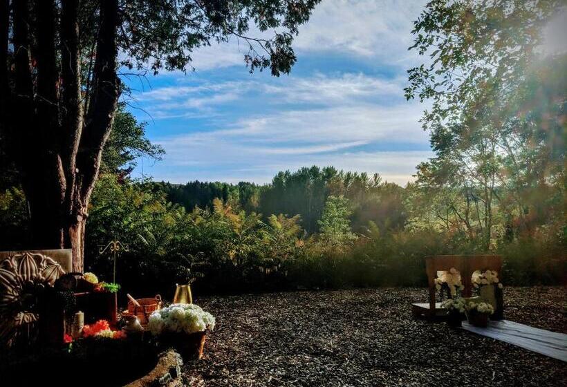 Общежитие Maison Zacharie