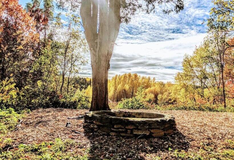 Общежитие Maison Zacharie