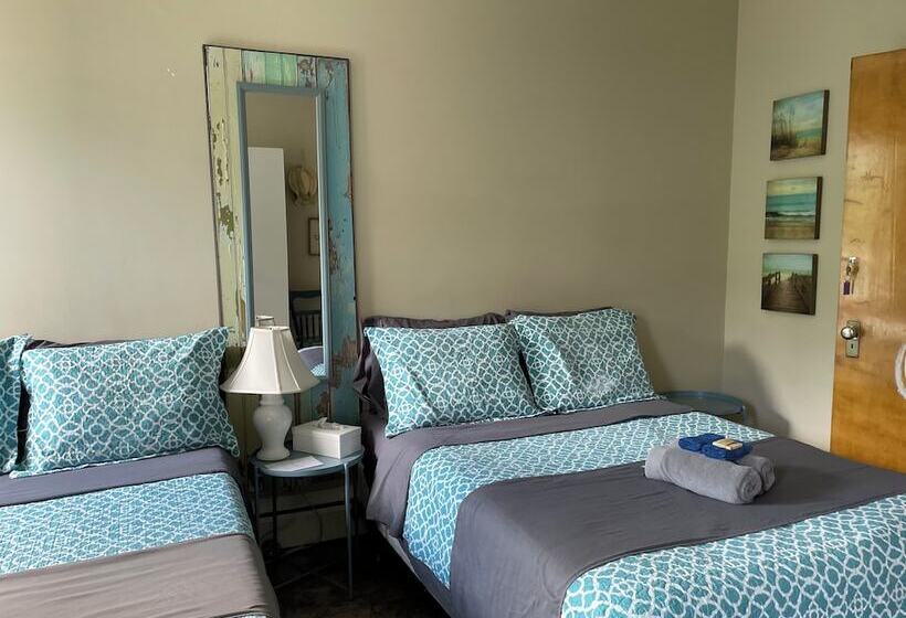 Общежитие Maison Zacharie