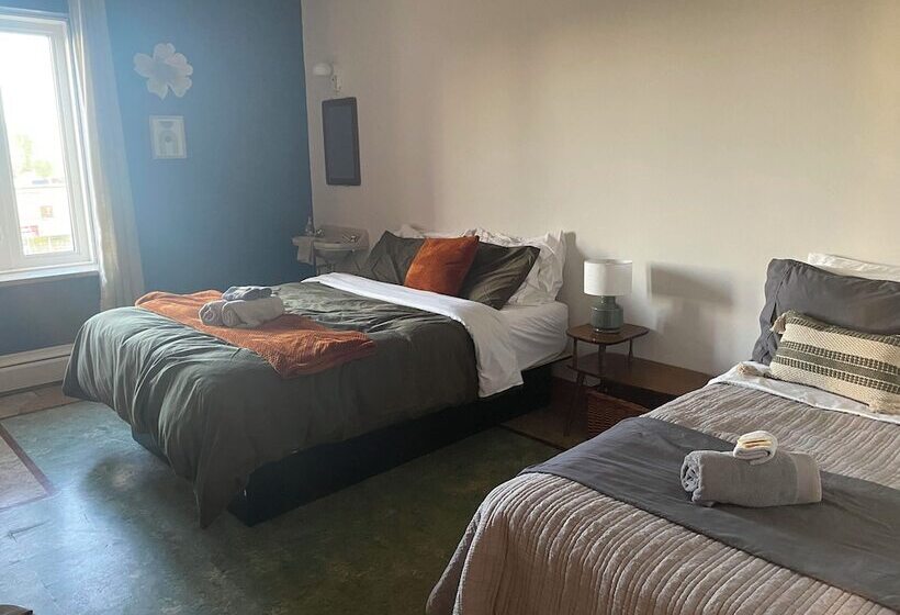 Общежитие Maison Zacharie